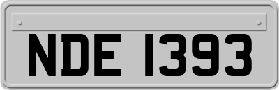 NDE1393