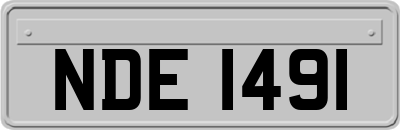 NDE1491