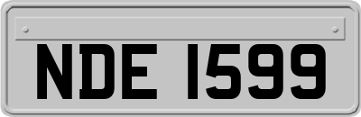 NDE1599