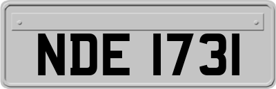 NDE1731
