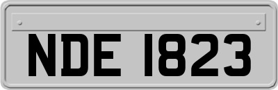 NDE1823