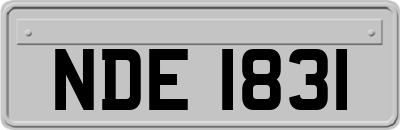 NDE1831