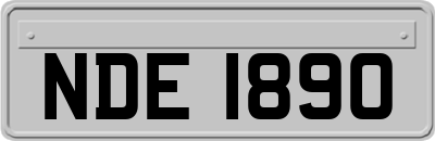 NDE1890