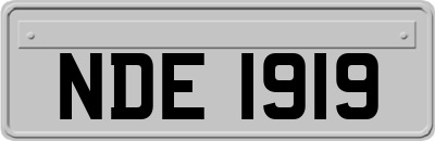 NDE1919
