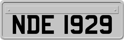 NDE1929