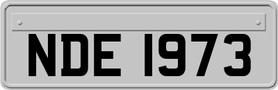 NDE1973