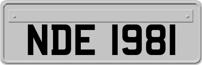 NDE1981