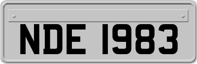 NDE1983