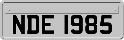 NDE1985