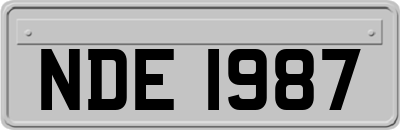 NDE1987