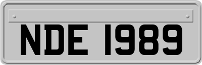 NDE1989