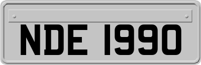 NDE1990