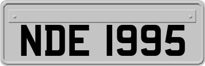 NDE1995