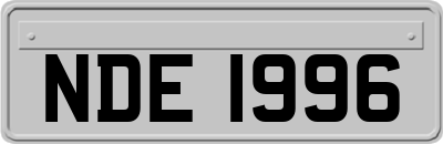 NDE1996