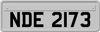 NDE2173