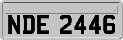 NDE2446