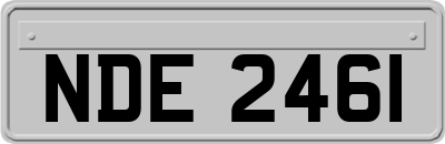 NDE2461