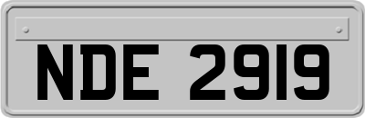 NDE2919