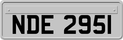 NDE2951