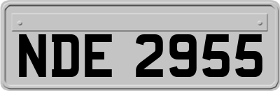NDE2955