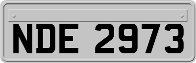 NDE2973