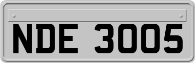NDE3005