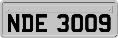 NDE3009
