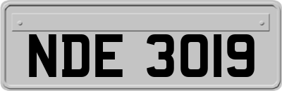 NDE3019