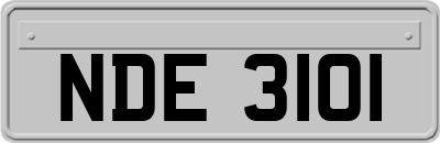 NDE3101