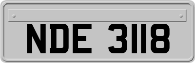 NDE3118