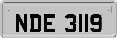NDE3119