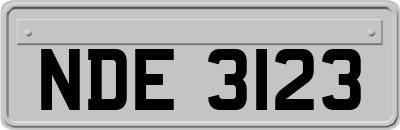 NDE3123