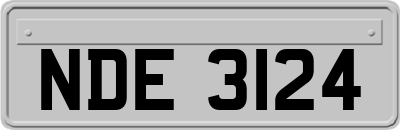 NDE3124
