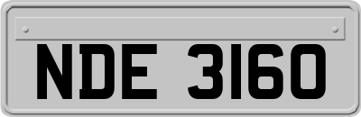 NDE3160