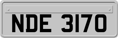 NDE3170