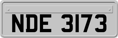 NDE3173