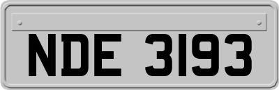 NDE3193