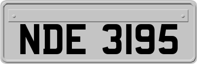 NDE3195
