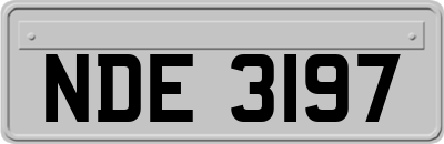 NDE3197