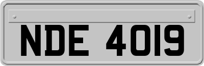 NDE4019