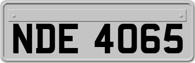 NDE4065