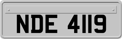 NDE4119