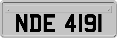 NDE4191