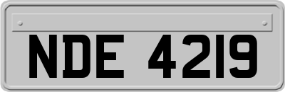 NDE4219