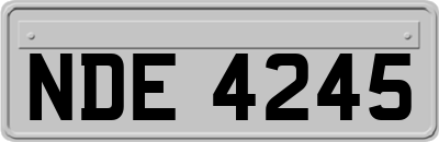 NDE4245
