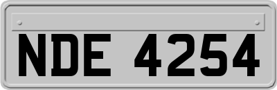 NDE4254
