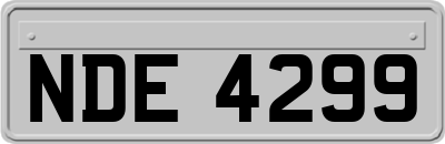 NDE4299