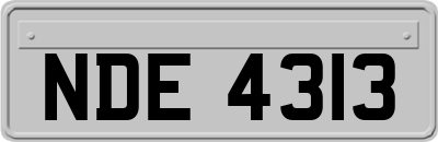 NDE4313