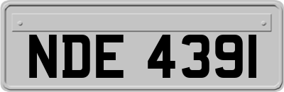 NDE4391