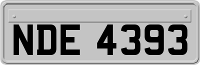 NDE4393